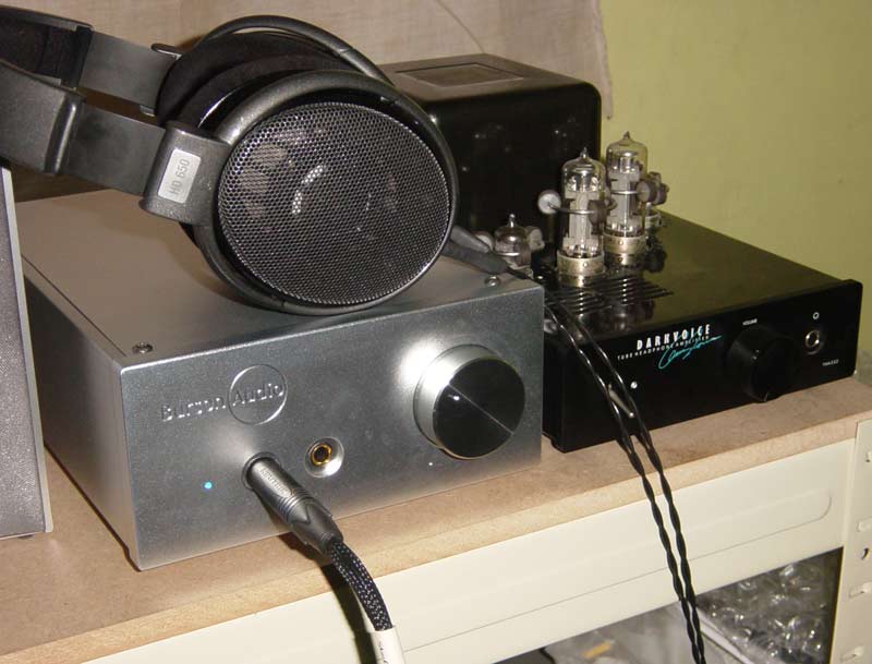 Burson Headphone Amplifier HA160 & Sennheiser HD650 by Pharatorn
